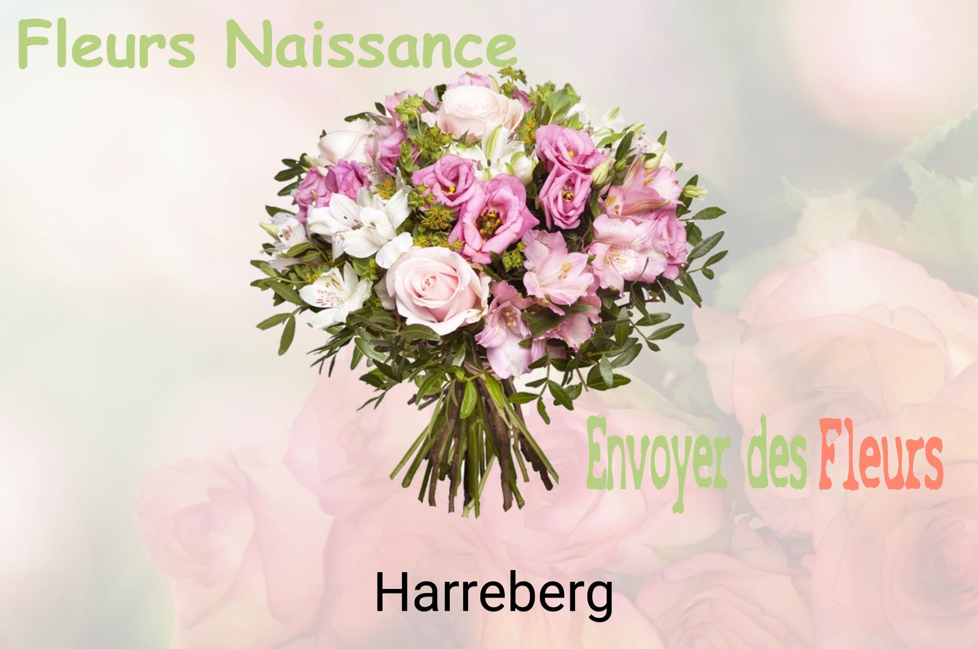 Bouquet de fleurs de naissance livré à Harreberg