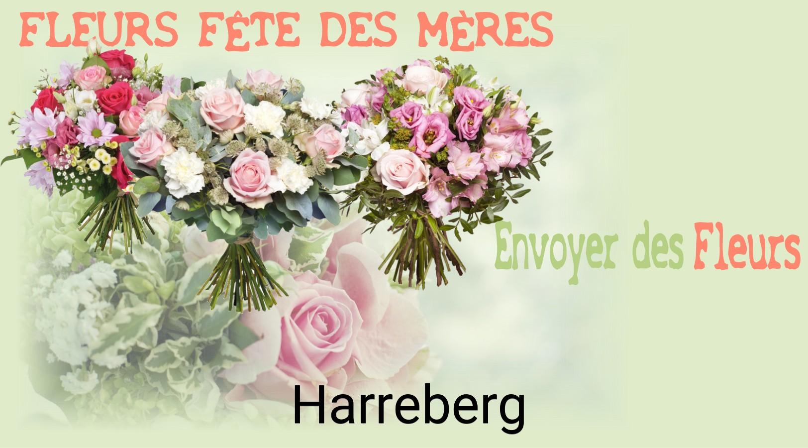 Bouquet de Fête des Mères livré à Harreberg